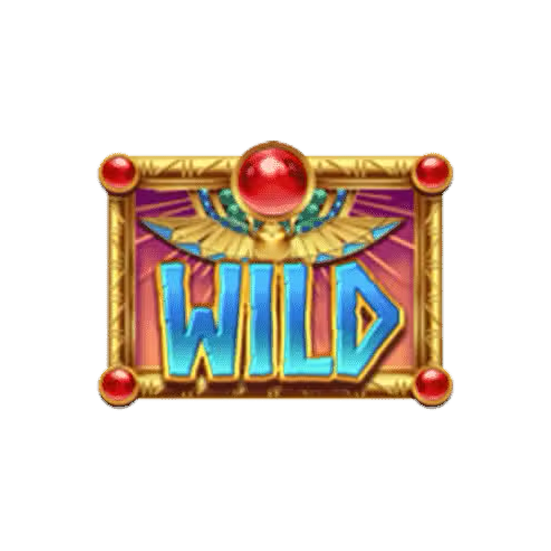 wild symbol