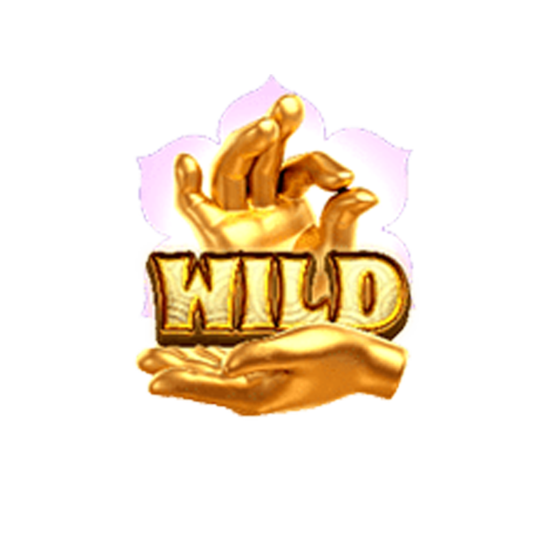 wild symbol