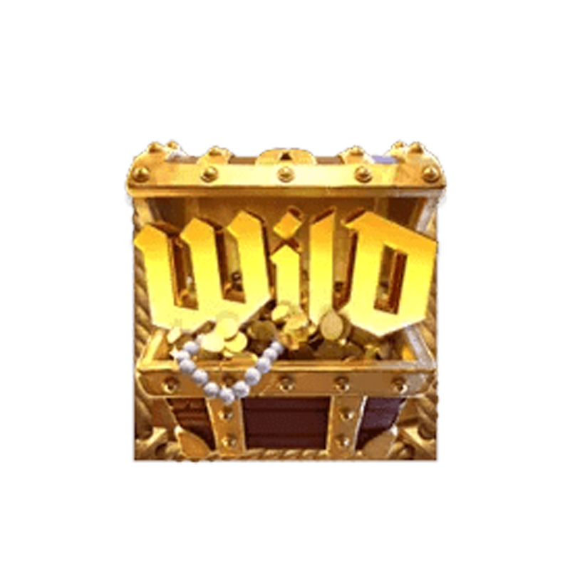 Wild symbol