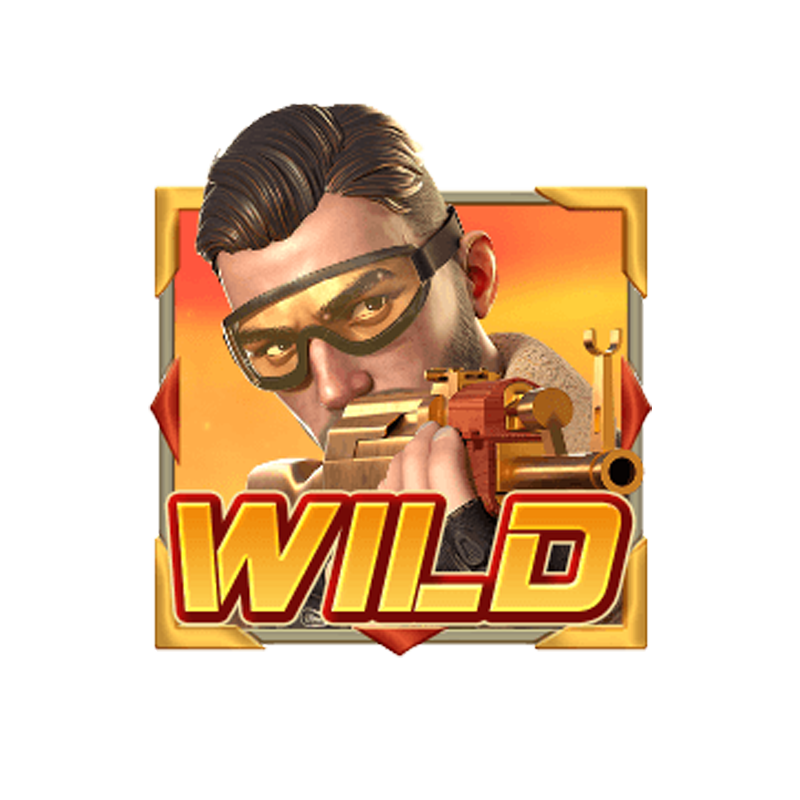 wild symbol