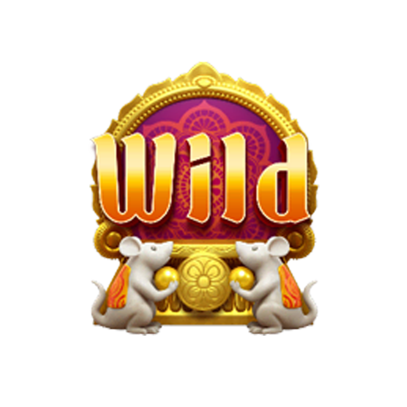 wild symbol