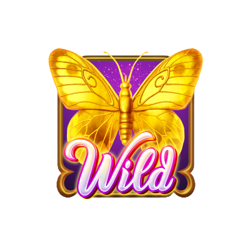 wild symbol