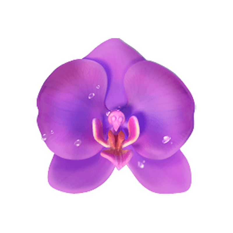 Tulip symbol