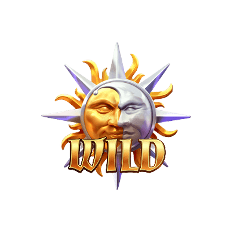 wild symbol