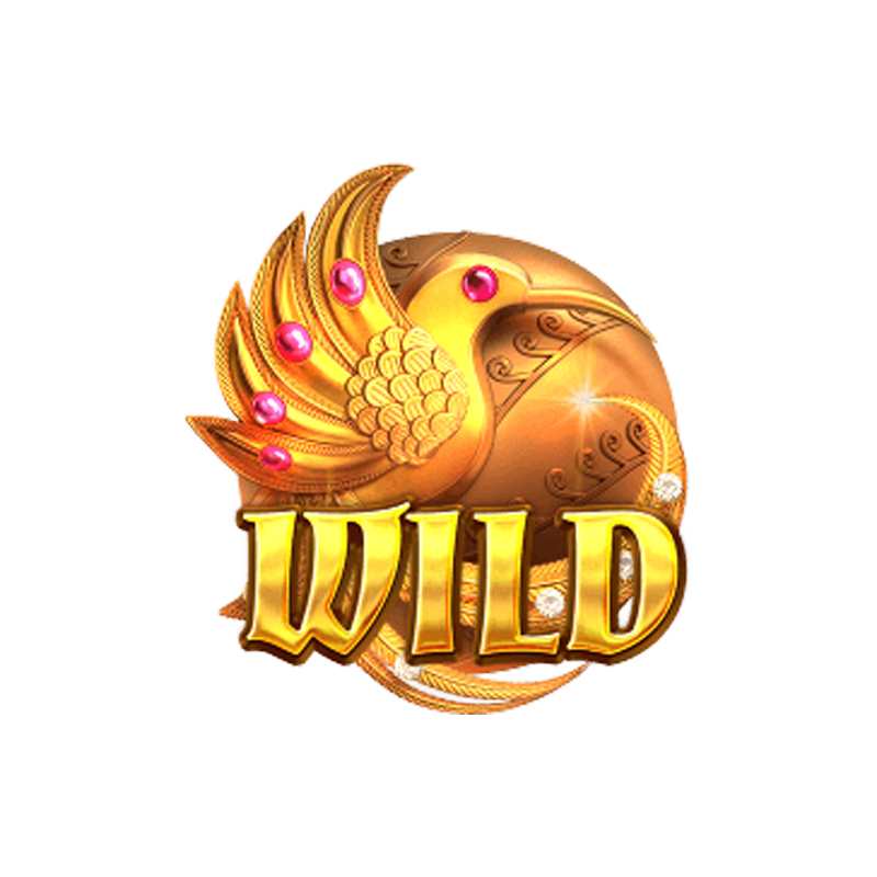 wild symbol