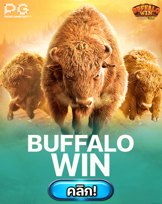 buffalo win