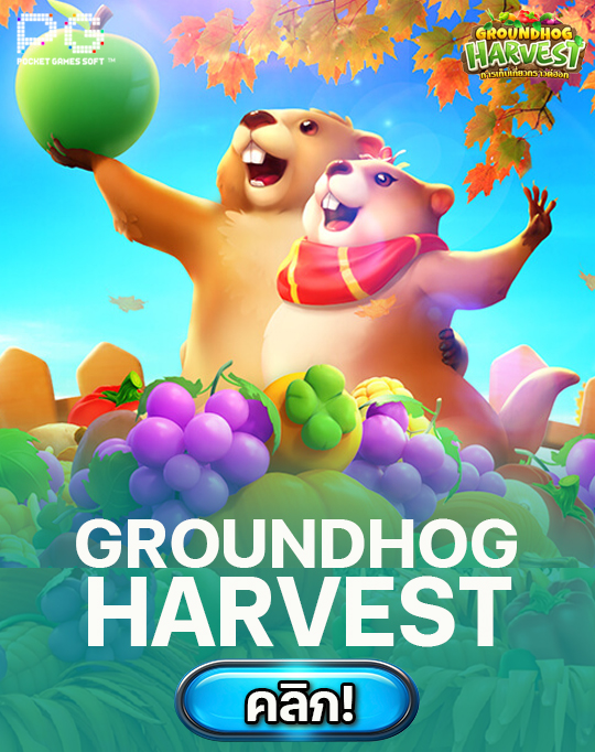 groundhog harvest